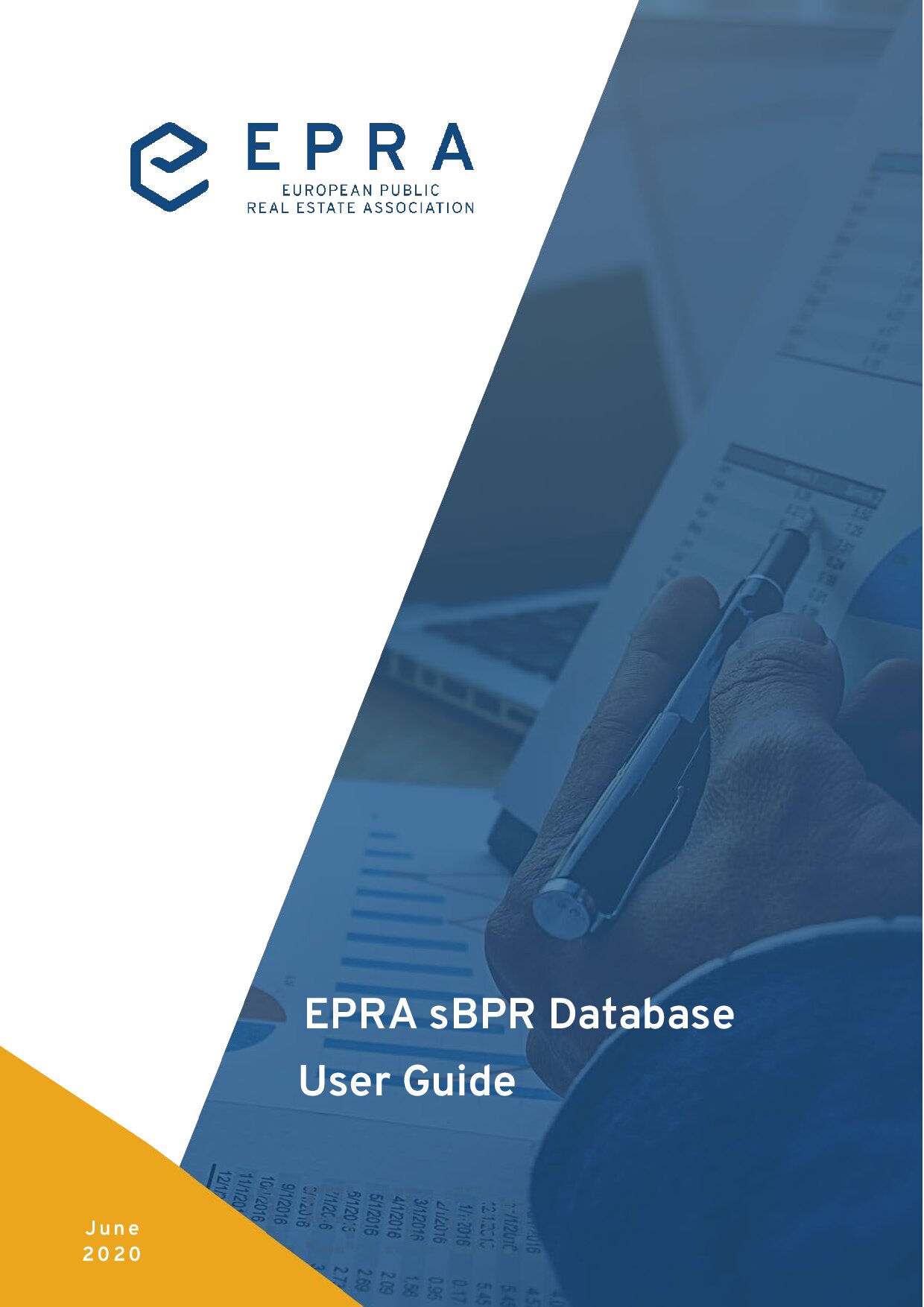 sbpr_data_base_user_guide_final_2020-epra-document-11953.jpg