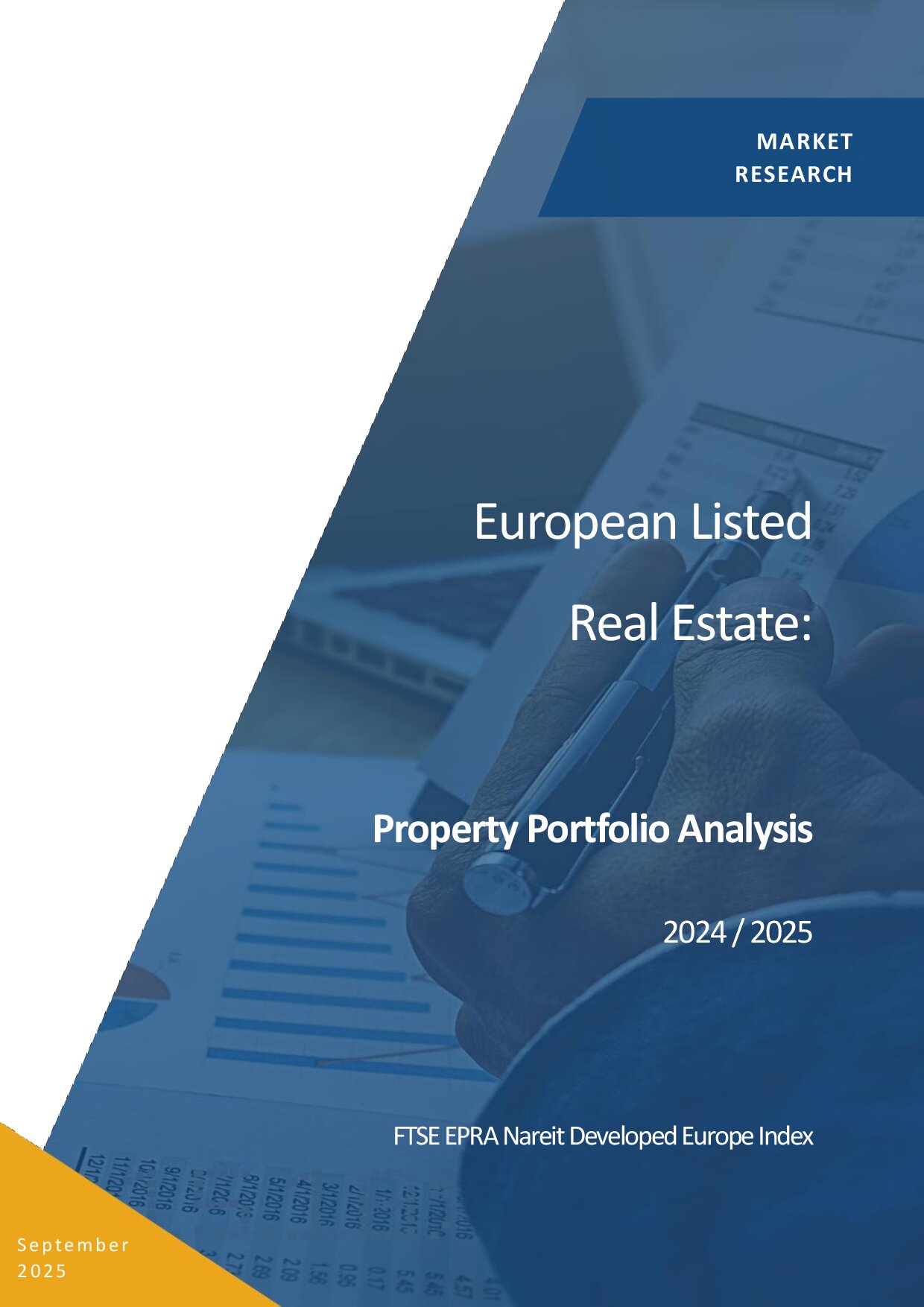 portfolio_analysis_2024-2025-1-pdf-thumb-6cc1230ee526.jpg