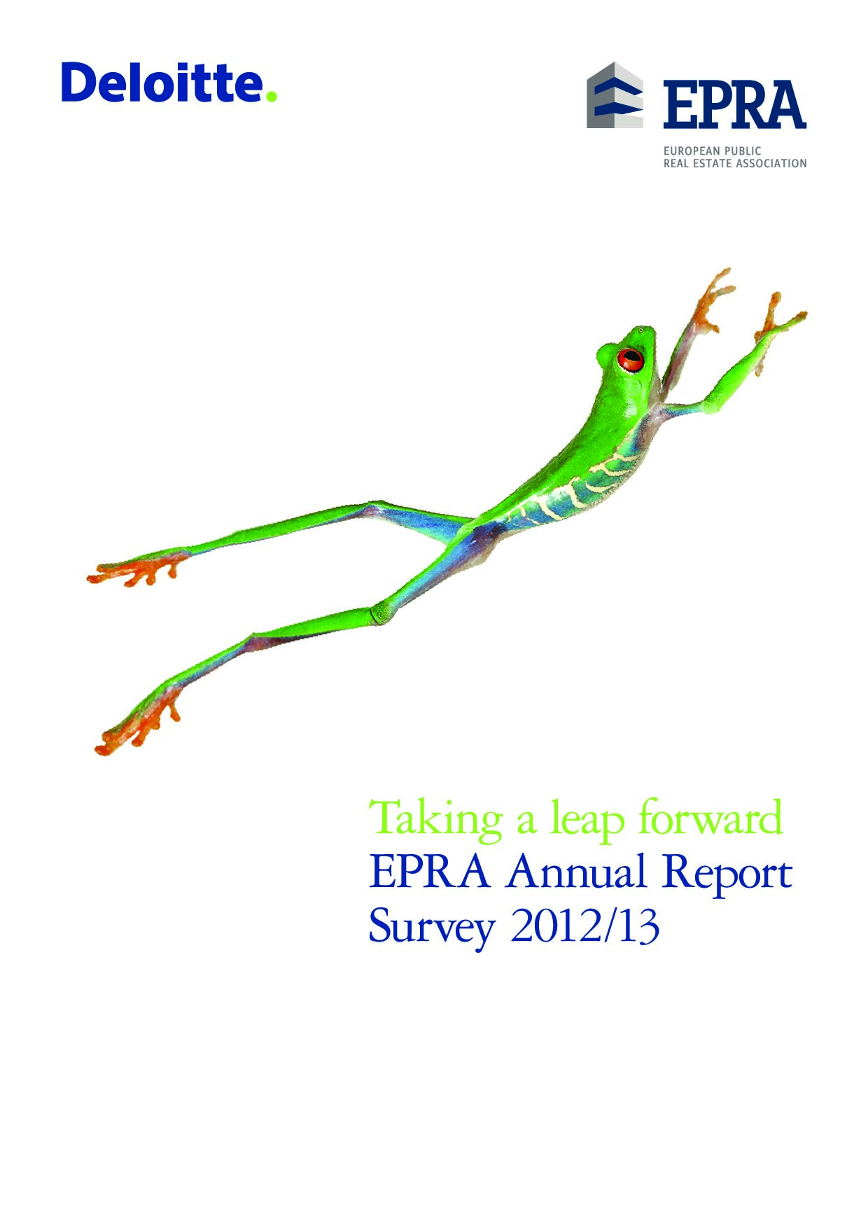 bpr_2012-2013_award-winners_report-epra-document-11900.jpg