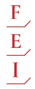 logo fei.jpg