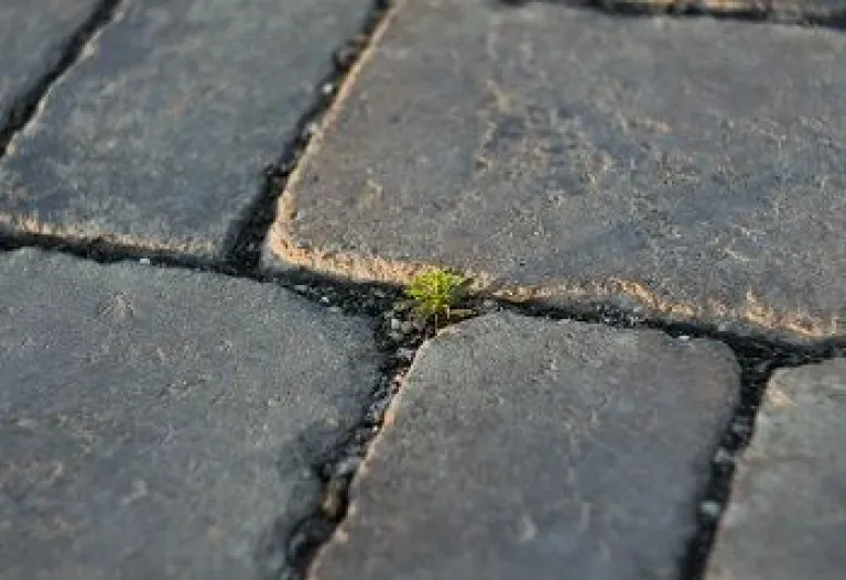 The listed sector&rsquo;s push for sustainability