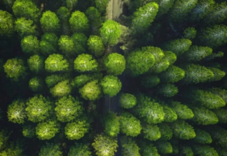 Estimating a green premium in listed real estate bonds